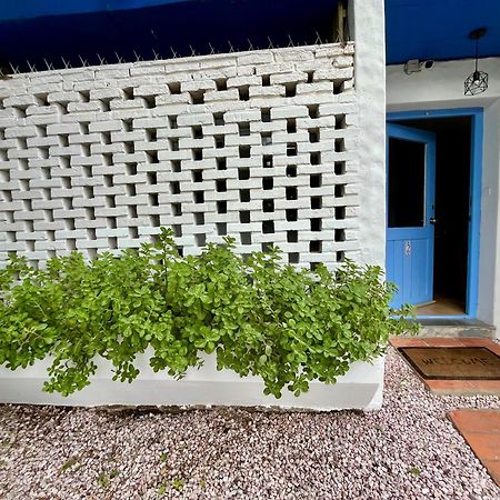 Appartement Puerta Azul à Punta del Este Extérieur photo